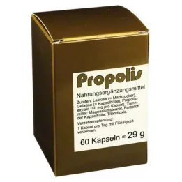 PROPOLIS KAPSELIT, 60 kpl
