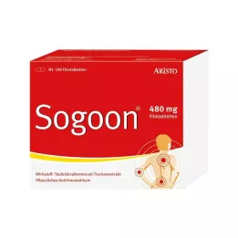 SOGOON 480 mg kalvopäällysteiset tabletit, 100 kpl