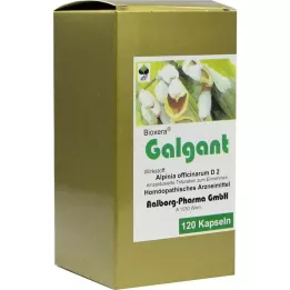 GALGANT Kapseln, 120 kpl