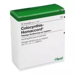 COLOCYNTHIS HOMACCORD Ampoules, 10 kpl