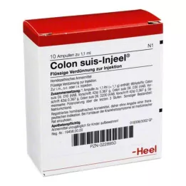 COLON SUIS Injeel Ampoules, 10 kpl