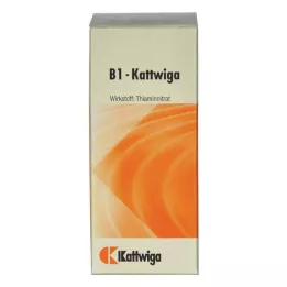 B1 KATTWIGA Tabletit, 100 kpl