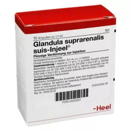 GLANDULA SUPRARENALIS Suis Injeel Ampoules, 10 kpl
