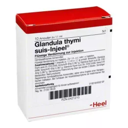 GLANDULA THYMI Suis Injeel Ampoules, 10 kpl