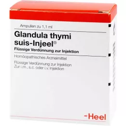 GLANDULA THYMI Suis Injeel Ampoules, 100 kpl