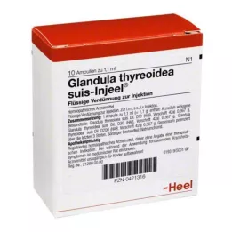 GLANDULA THYREOIDEA Suis Injeel Ampoules, 10 kpl
