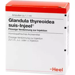 GLANDULA THYREOIDEA Suis Injeel Ampoules, 100 kpl