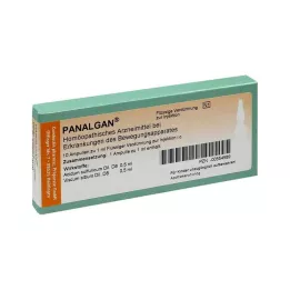 PANALGAN Ampoules, 10 tuntia