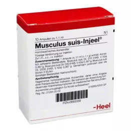 MUSCULUS SUIS Injeel Ampoules, 10 kpl