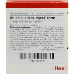 MUSCULUS SUIS Injeel Forte Ampoules, 10 kpl