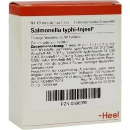 SALMONELLA TYPHI Injeel Ampoules, 10 kpl