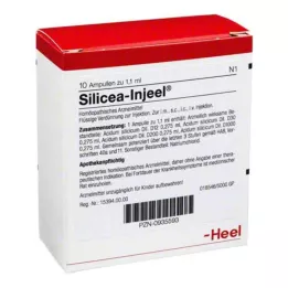SILICEA INJEEL Ampoules, 10 kpl