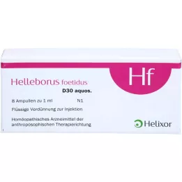 HELLEBORUS FOETIDUS Aquos. D 30 Ampules, 8x1 ml