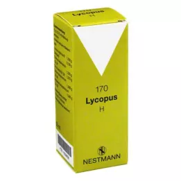 LYCOPUS H nro 170 tippaa, 50 ml