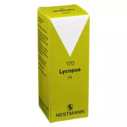 LYCOPUS H nro 170 tippaa, 100 ml