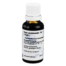 THUJA d 6 laimennus, 20 ml