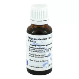 THUJA d 12 laimennus, 20 ml