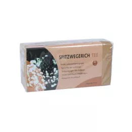 SPITZWEGERICHTEE Suodatinpussi, 25 kpl
