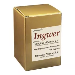 INGWER Kapselit, 60 kpl