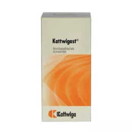 KATTWIGAST tabletit, 100 kpl