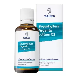 BRYOPHYLLUM ARGENTO cultum D 3 Laimennus, 50 ml