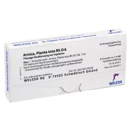 ARNICA PLANTA TOTA RH D 6 AMPOULES, 8x1 ml