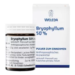 BRYOPHYLLUM 50 % jauhe oraaliseen käyttöön, 50 g