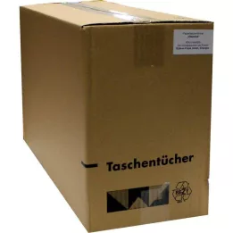 TASCHENTÜCHER Motif vitamiinit, 1 kpl