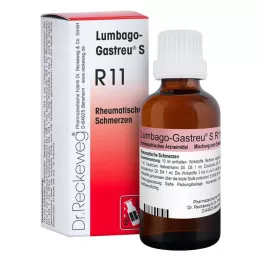 LUMBAGO-GASTREU S R11 -seos, 22 ml