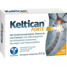 KELTICAN Forte Capsules, 20 kpl