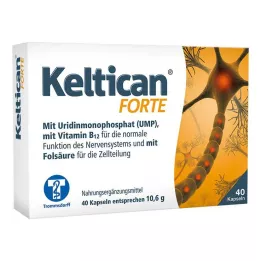 KELTICAN forte kapselit, 40 kpl