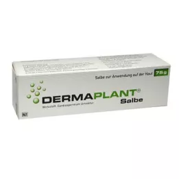 DERMAPLANT Voide, 75 g