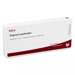 ORGANUM quadruplex-ampullit, 10X1 ml