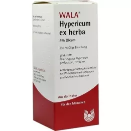 Hypericum ex Herba 5% Oleeum, 100 ml