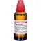 HYPERICUM EXTERN Uute, 50 ml
