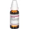 SILICEA D 8 Laimennus, 20 ml