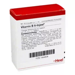 VITAMIN B6 INJEEL ampullit, 10 kpl