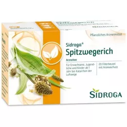 SIDROGA Spitzwegerich Tea -suodatinpussi, 20x1,4 g