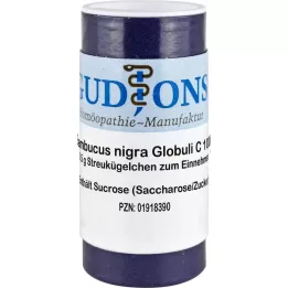 SAMBUCUS NIGRA C 1000 kerta-annospallot, 0,5 g