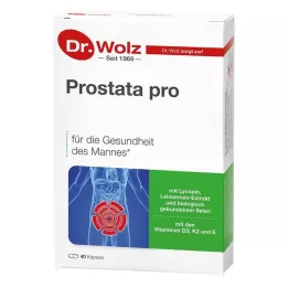 PROSTATA PRO Dr.Wolz kapselit, 2X20 kpl
