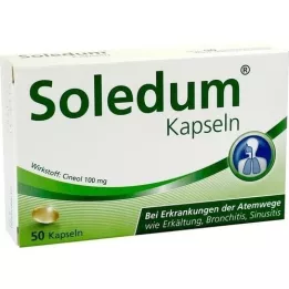 SOLEDUM 100 mg mahalaukun resistenttejä kapseleita, 50 kpl