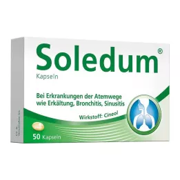 SOLEDUM 100 mg enterokapselit, 50 kpl