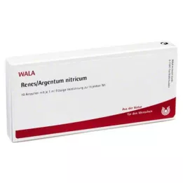 RENES/ARGENTUM nitricum-ampullit, 10X1 ml