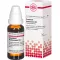 CAUSTICUM HAHNEMANNI D 3 Laimennus, 20 ml