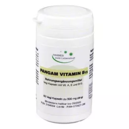PANGAM B15-vitamiinikapselit, 60 kpl