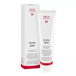 ARNIKA VOIVO, 100 g