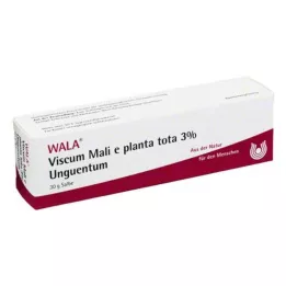VISCUM MALI e planta tota 3 % Unguentum, 30 g