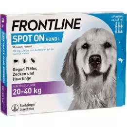 Frontline Koiran L 268 mg, 6 kpl