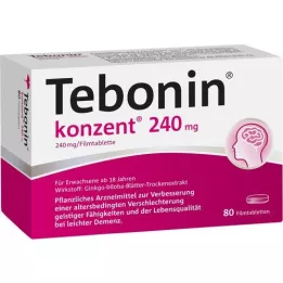 TEBONIN Ryhmä 240 mg Film -päällystetyt tabletit, 80 kpl