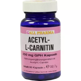 ACETYL-L-CARNITIN 250 mg kapselia, 60 kpl